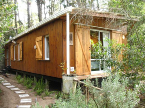 Cabaña Junco